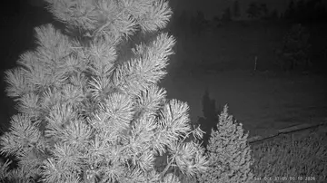 Latest image of Webcam Boulder