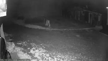Latest image of Kōwhai Farm Pony Camp
