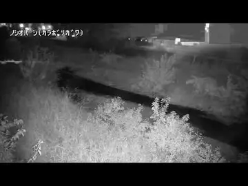 Latest image of 【空堀川】野塩橋映像監視局［清瀬市梅園3］