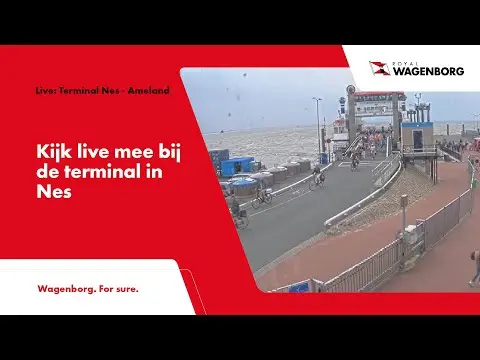 Latest image of Wagenborg terminal Nes