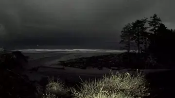 Latest image of Kalaloch Beach