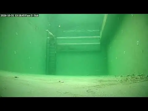 Latest image of Zeehondencentrum Lauwersoog fase 3 onderwater