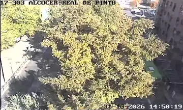 Latest image of Ayuntamiento de Madrid