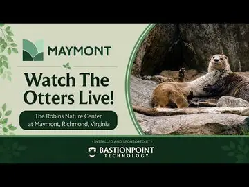 Latest image of Maymont Otter Cam