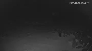 Latest image of Hut Flat