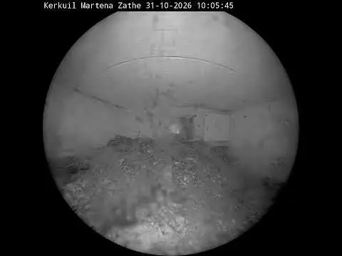 Latest image of Kerkuil Martena Zathe