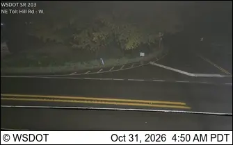 Latest image of SR 203 at MP 5.2: NE Tolt Hill Rd