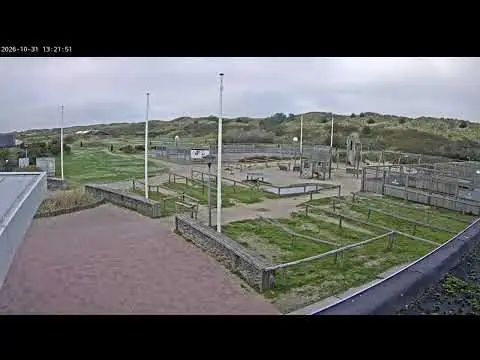Latest image of Camping Stortemelk Vlieland