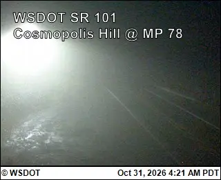 Latest image of US 101 at MP 78.3: Cosmopolis Hill