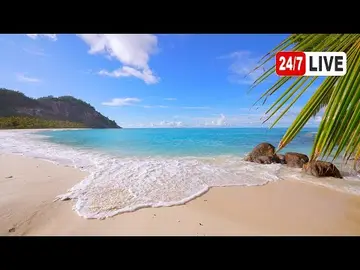 Latest image of Seychelles Ocean 4K (LIVE 24/7). Wild Beach & Ocean Waves Sounds. Relaxing Ocean