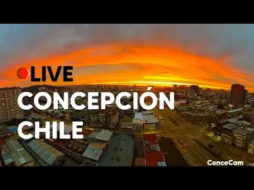 Latest image of Concepción City Center Plaza
