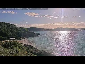 Latest image of Bermuda - Cahow