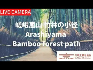 Latest image of 【LIVE】京都 嵯峨嵐山 竹林の小径ライブ中継カメラ（京都市観光協会公式）／Bamboo forest path, Kyoto Live camera