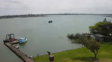 Latest image of Cape Town - Zeekoevlei