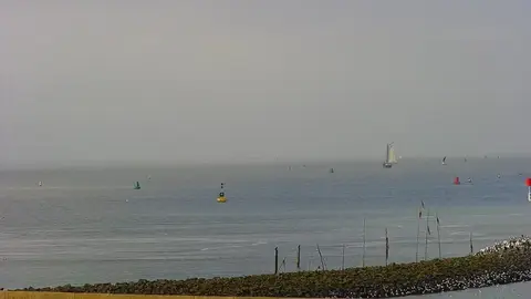 Latest image of Havenmond Harlingen