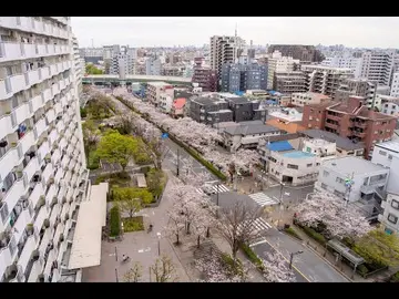 Latest image of Tokyo - Adachi-ku