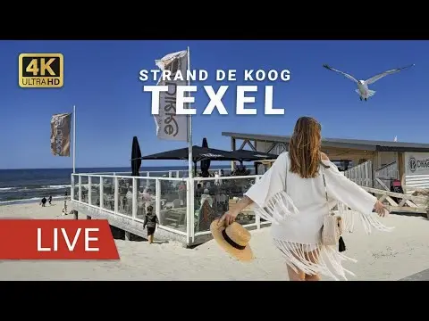 Latest image of Texel Strand De Koog Paal 20 Dikke Zeehond
