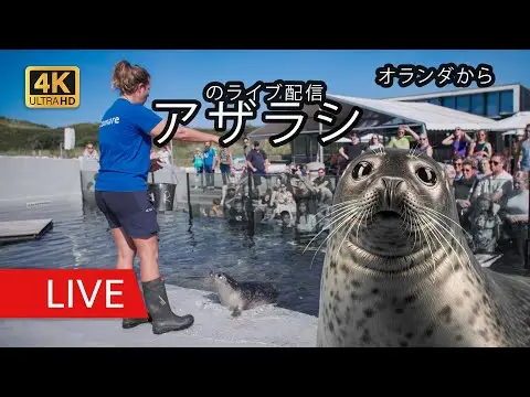 Latest image of Ecomare Seal Sanctuary on Texel
