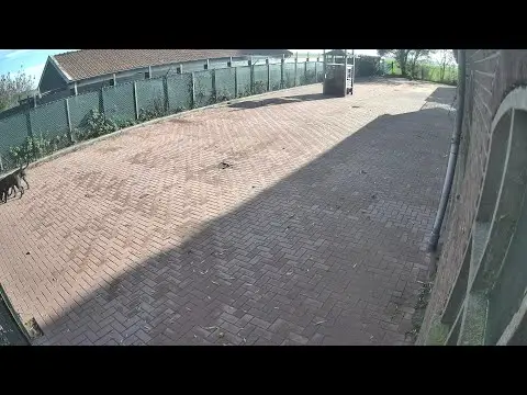 Latest image of Woody's Veilige Haven Texel honden