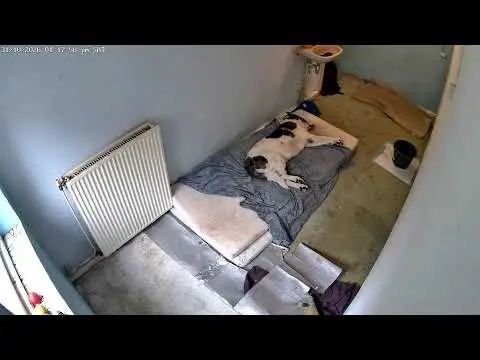 Latest image of Woody's Veilige Haven Texel kamer Bailey