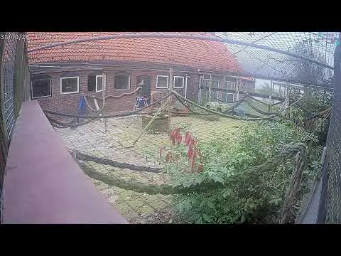 Latest image of Woody's Veilige Haven Texel katten speeltuin