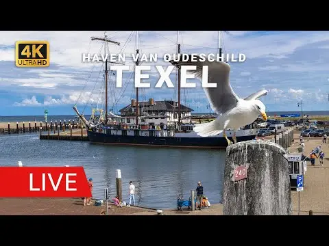Latest image of Oudeschild Fishermen's Harbor Texel