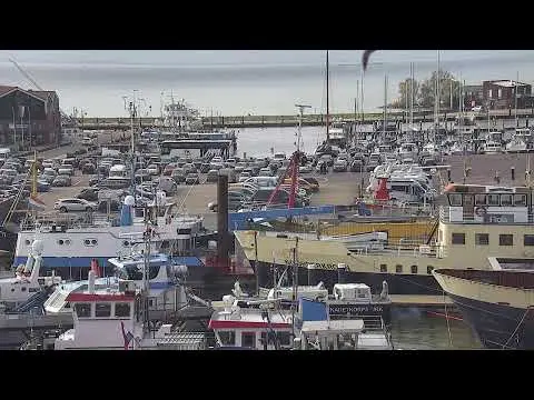 Latest image of Werkhaven
