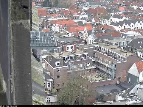 Latest image of Amersfoort Iconic Tower Vista