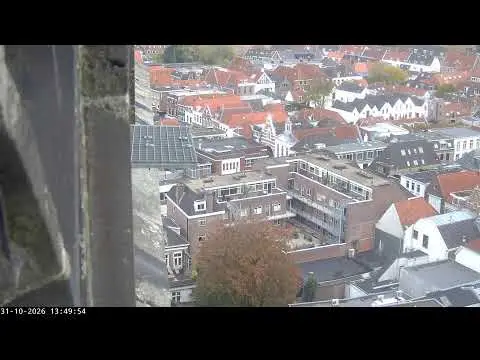Latest image of Slechtvalken Onze Lieve Vrouwetoren 2