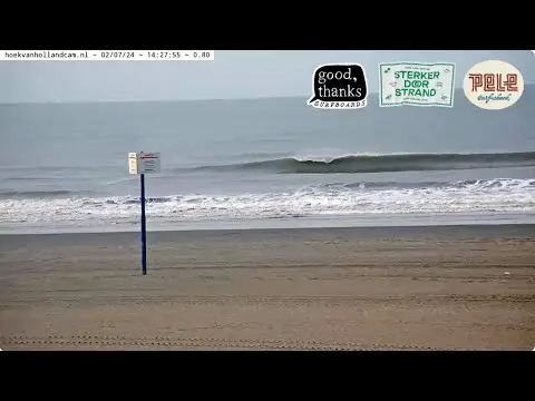Latest image of Pele Surfshack, Hoek van Holland