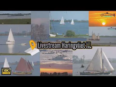 Latest image of Haringvliet