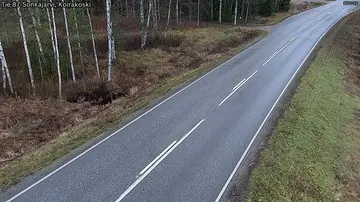 Latest image of Sonkajärvi Koirakoski