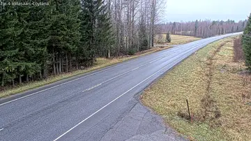 Latest image of Viitasaari Löytänä
