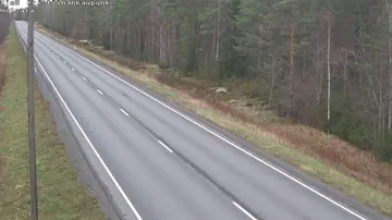 Latest image of Kristiinankaupunki Metsälä K