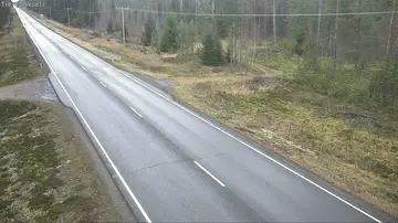 Latest image of Veteli Sikaharju