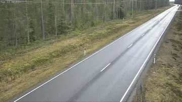 Latest image of Veteli Sikaharju 2
