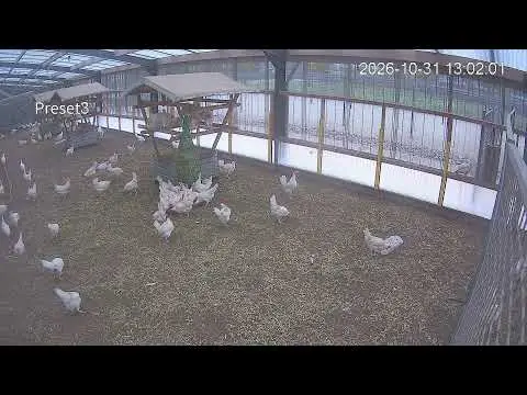 Latest image of Kipster Ysselsteyn binnentuin stal 1