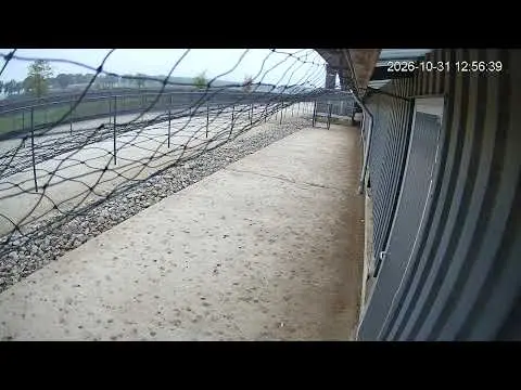 Latest image of Kipster Ysselsteyn buitentuin stal 1