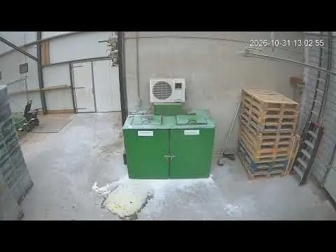Latest image of Kipster Ysselsteyn kadaverton