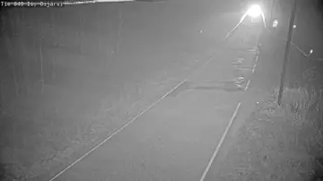 Latest image of Ii Oijärvi