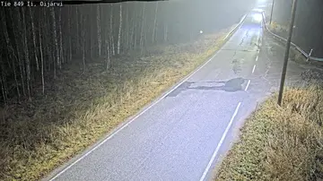 Latest image of Ii Oijärvi 2