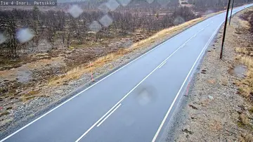 Latest image of Inari Petsikko