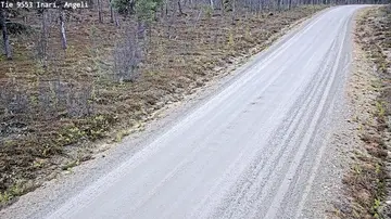 Latest image of Inari Angeli
