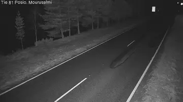 Latest image of Posio Mourusalmi 2