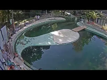 Latest image of Budapest Zoo Seal Enclosure View