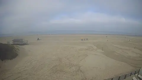 Latest image of strand