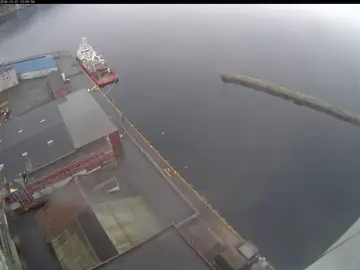 Latest image of Ila