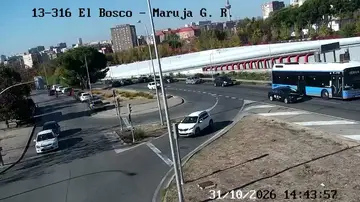 Latest image of El Bosco - Maruja García Romero