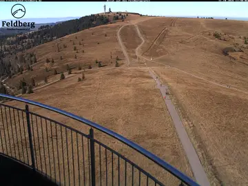 Latest image of Feldberg - Blick auf den Feldberg-Gipfel