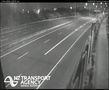 Latest image of SH20 Te Whitinga Footbridge